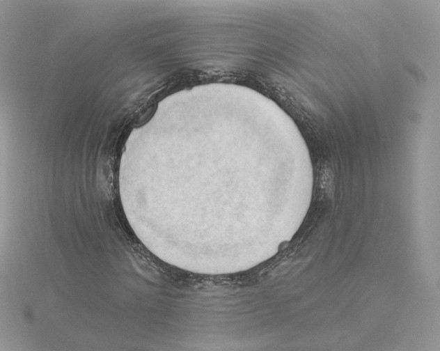 X0000114530868200911161334