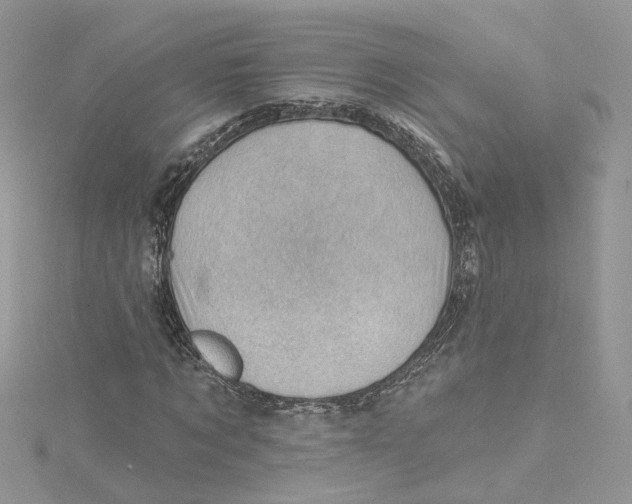 X0000114530869200911161334