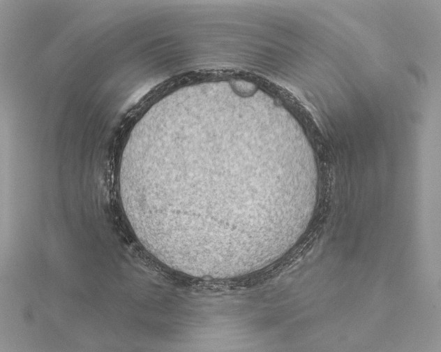 X0000114530871200911161334