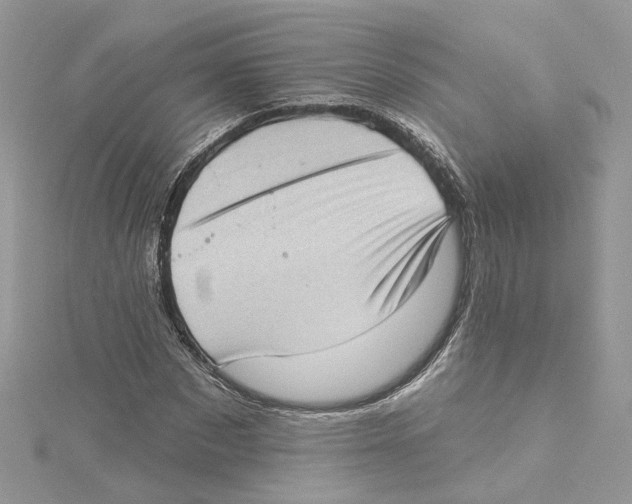 X0000114530873200911161334