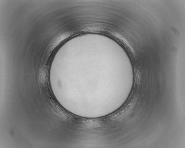 X0000114530874200911161334