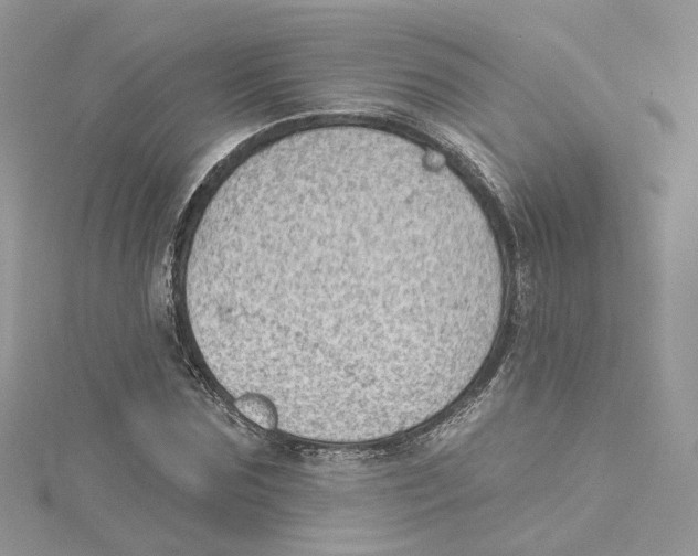 X0000114530875200911161334