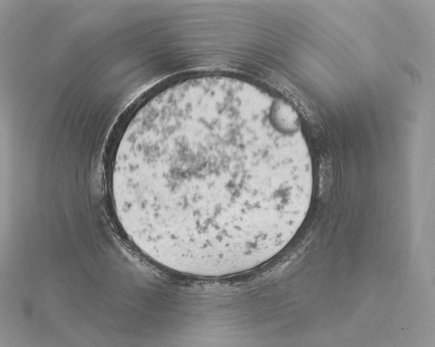 X0000114530876200911161334