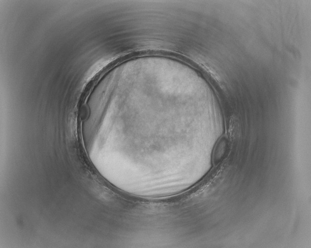 X0000114530877200911161334