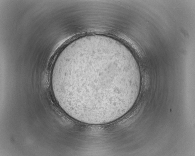 X0000114530878200911161334