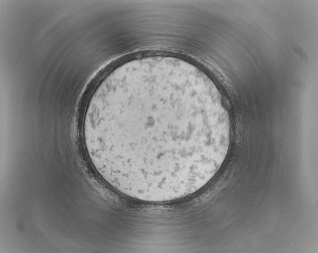 X0000114530880200911161334