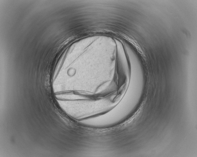 X0000114530881200911161334