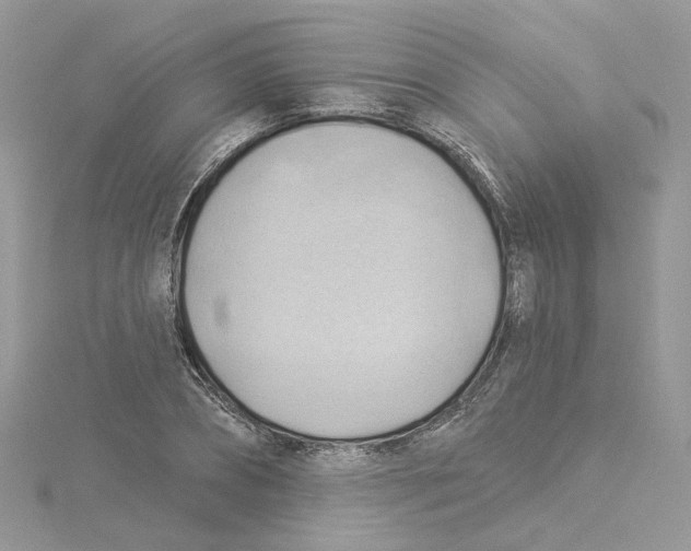 X0000114530882200911161334