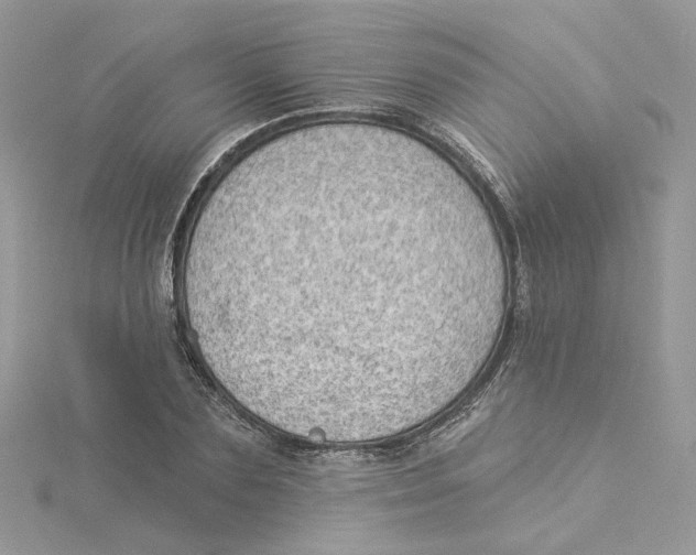 X0000114530883200911161334