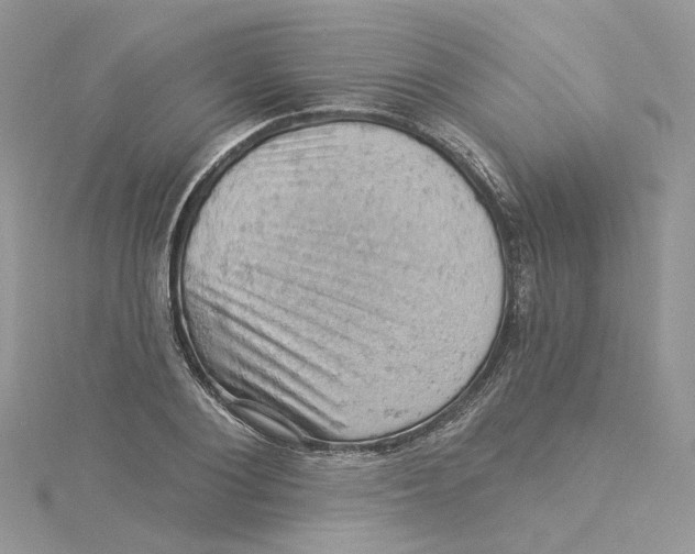 X0000114530884200911161334