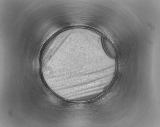 X0000114530885200911161334