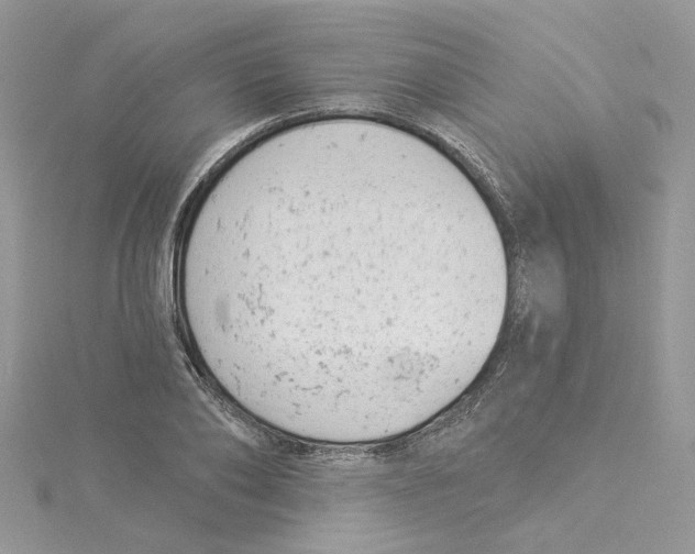 X0000114530886200911161334