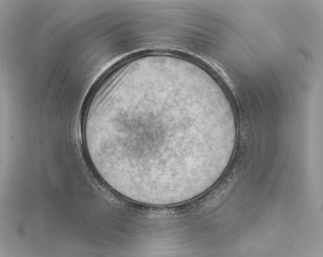 X0000114530887200911161334