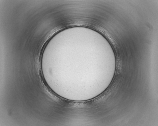 X0000114530890200911161334