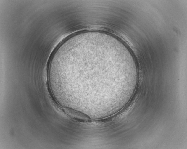 X0000114530891200911161334