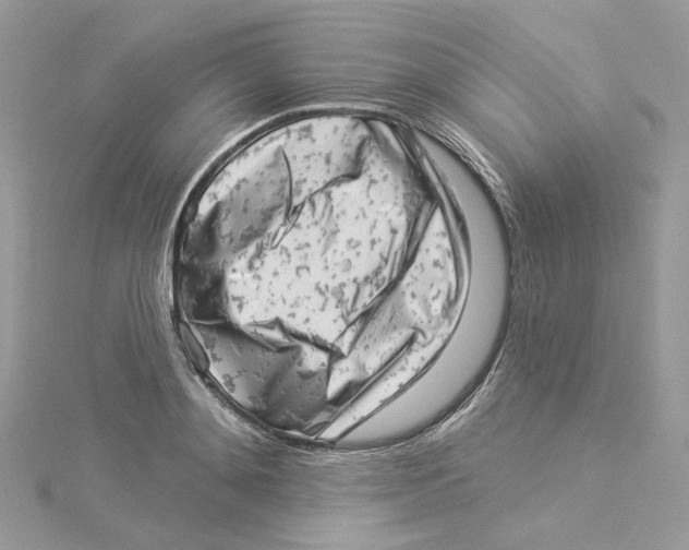 X0000114530892200911161334