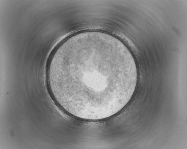 X0000114530894200911161334