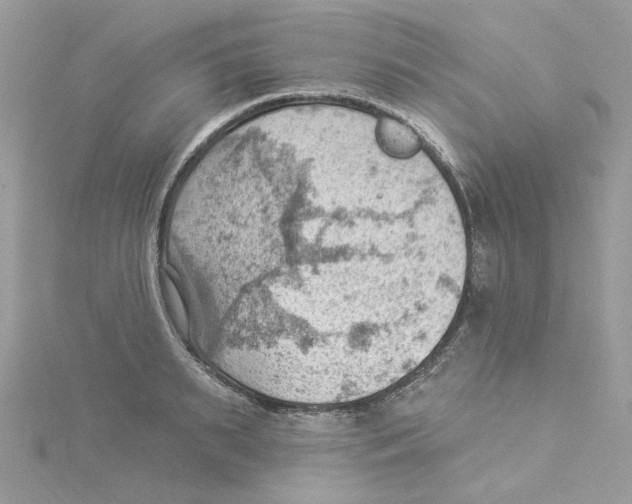 X0000114530895200911161334