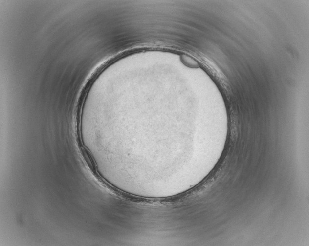 X0000114530896200911161334