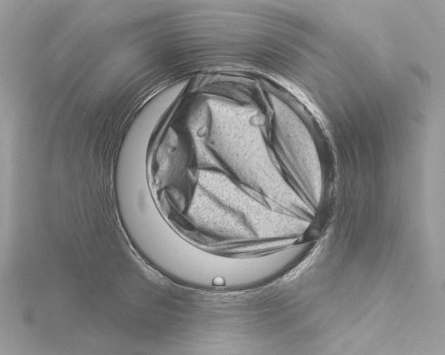 X0000114530897200911161334