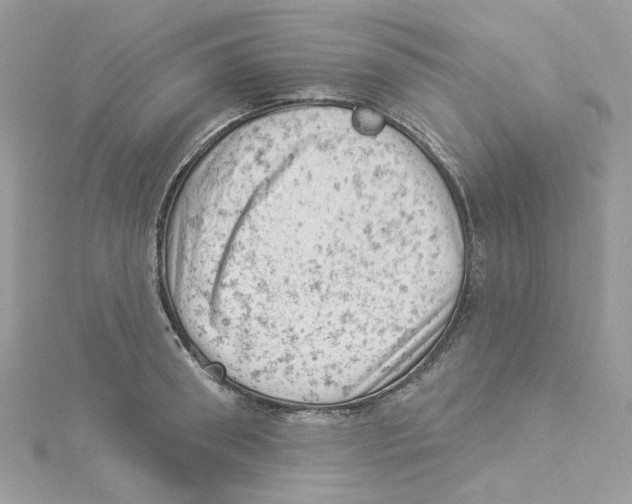 X0000114530898200911161334