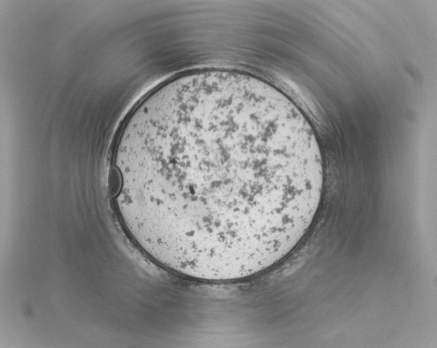 X0000114530900200911161334