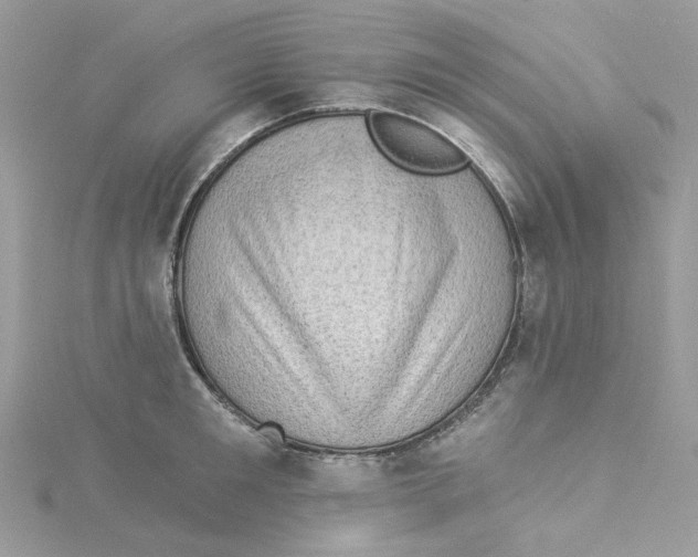 X0000114530901200911161334