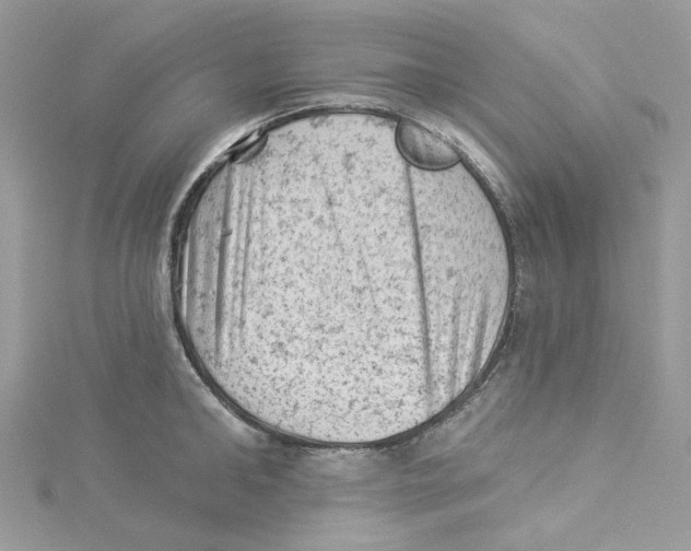 X0000114530902200911161334