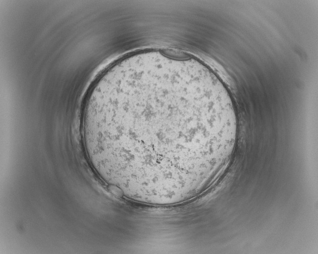 X0000114530904200911161334