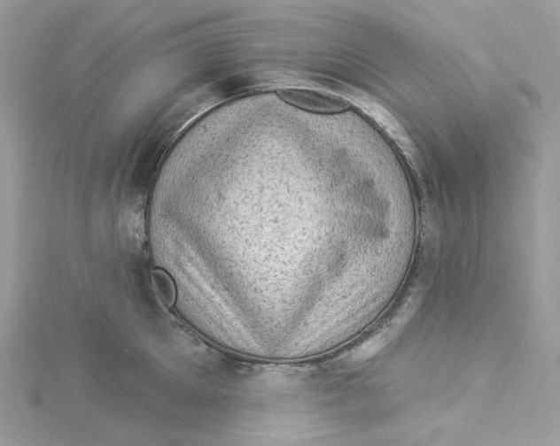 X0000114530905200911161334