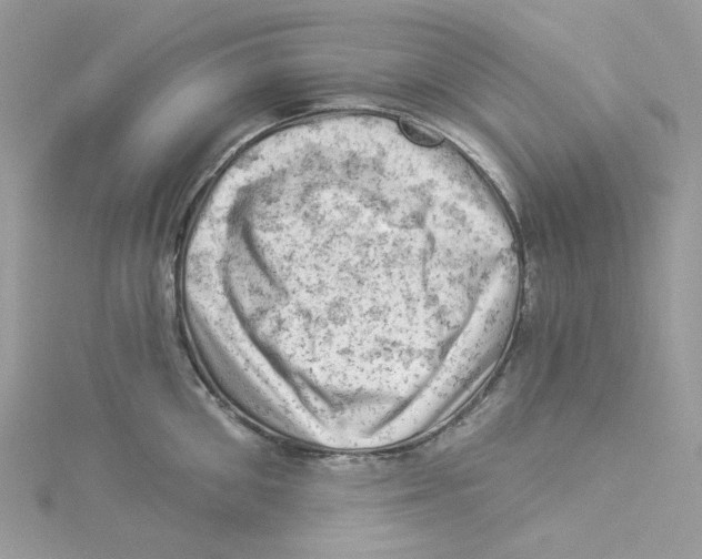 X0000114530906200911161334