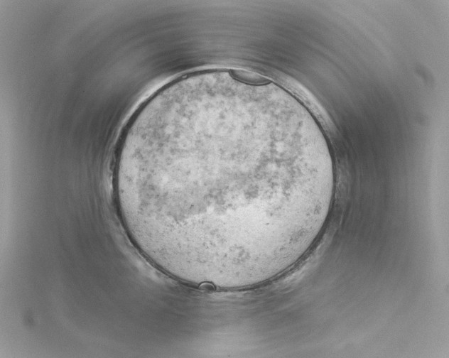 X0000114530908200911161334