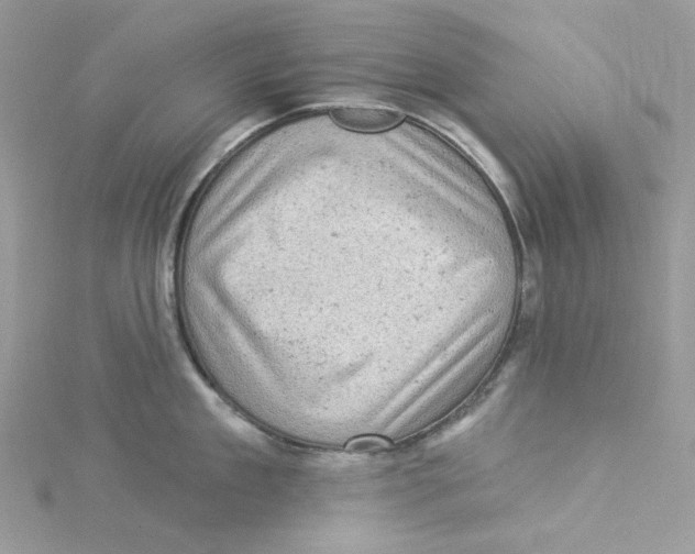 X0000114530909200911161334