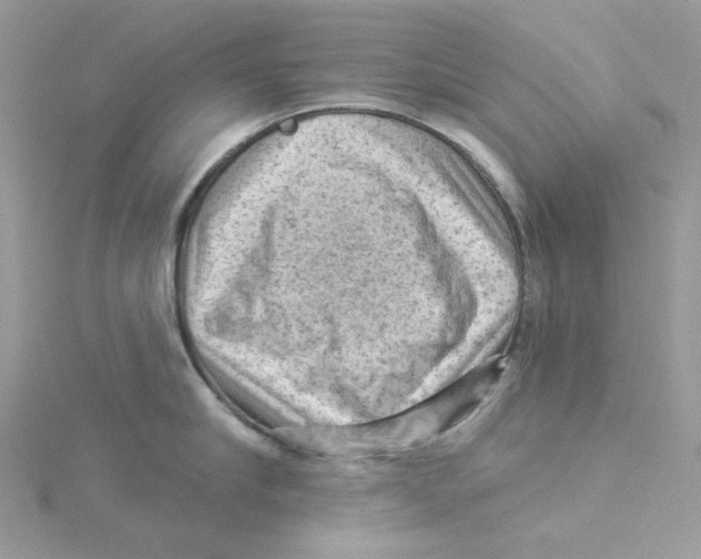 X0000114530910200911161334