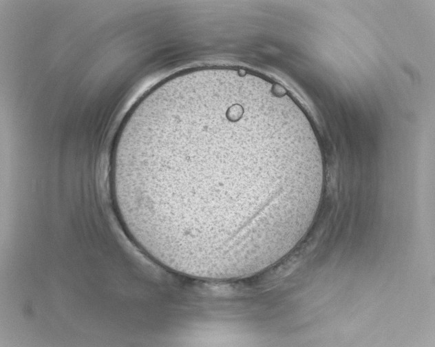 X0000114530911200911161334