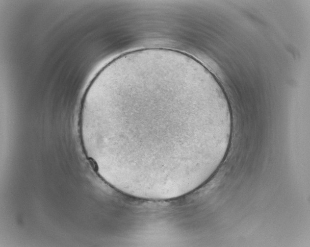 X0000114530912200911161334