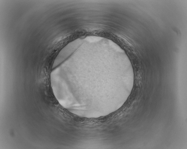 X0000114530917200911161333