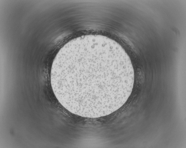 X0000114530918200911161333