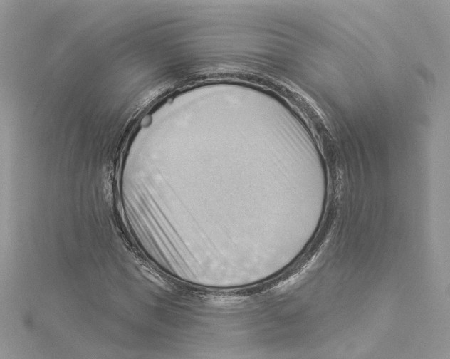 X0000114530921200911161333