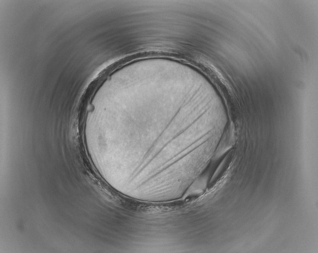 X0000114530923200911161333