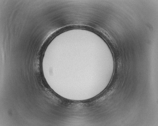 X0000114530926200911161333