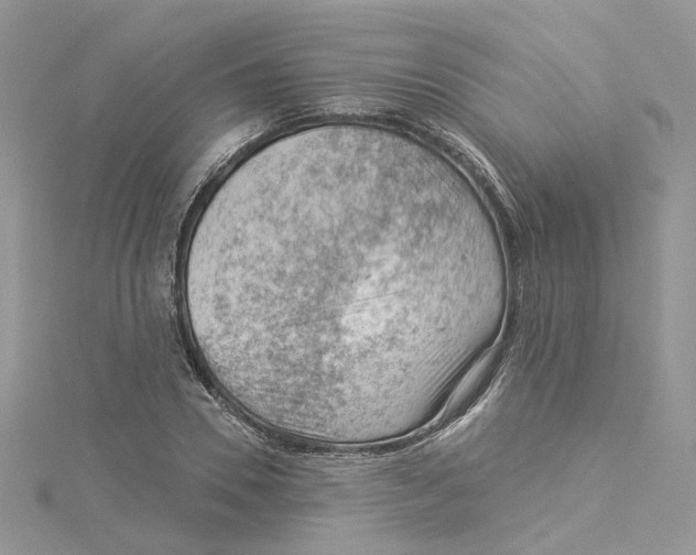 X0000114530930200911161333