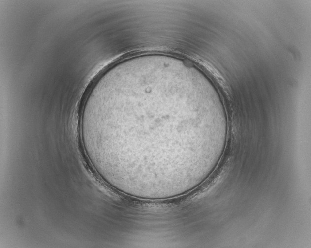 X0000114530933200911161333