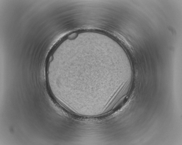 X0000114530934200911161333