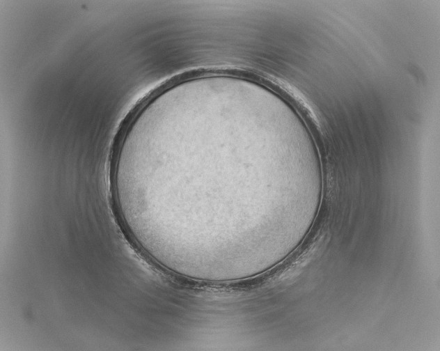 X0000114530935200911161333