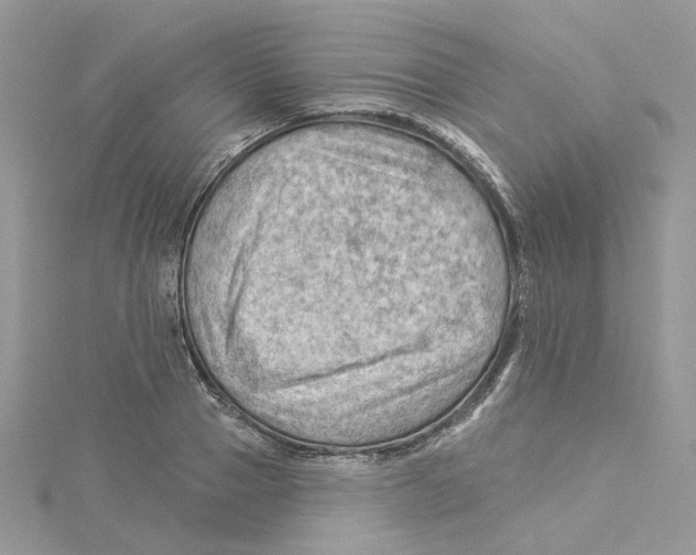 X0000114530937200911161334