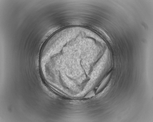 X0000114530938200911161334