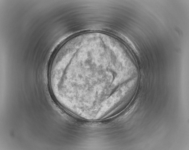 X0000114530939200911161334