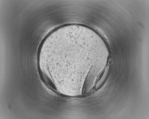 X0000114530942200911161334