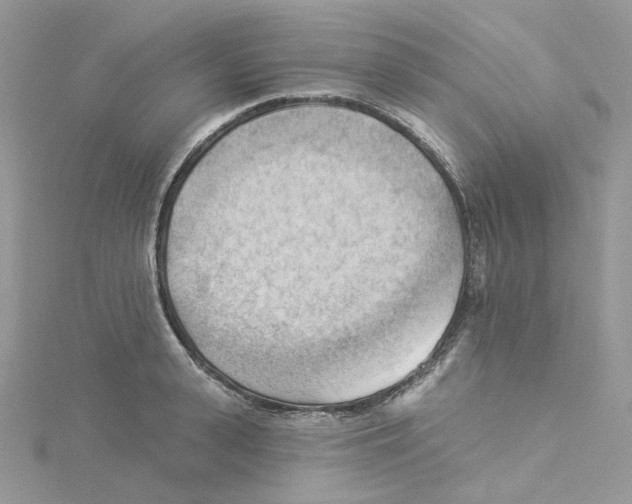 X0000114530943200911161334